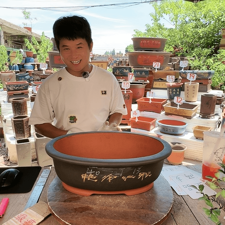 紫砂20CM（含）-50CM（不含）
