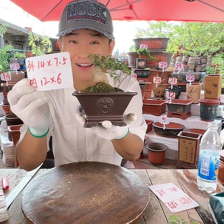 紫砂20CM（含）-50CM（不含）