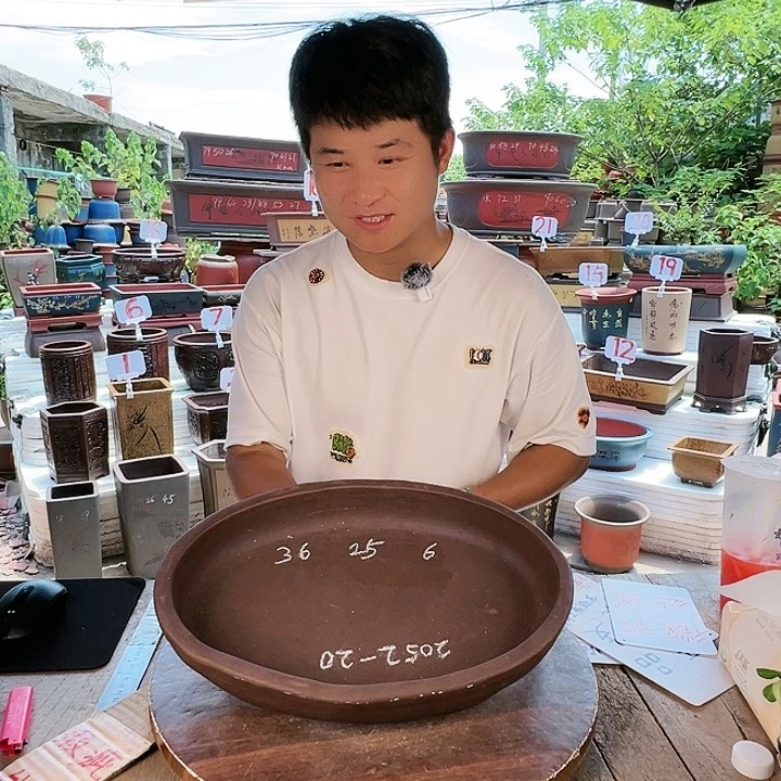 紫砂20CM(含)-50CM(不含)