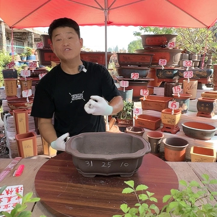 紫砂20CM（含）-50CM（不含）