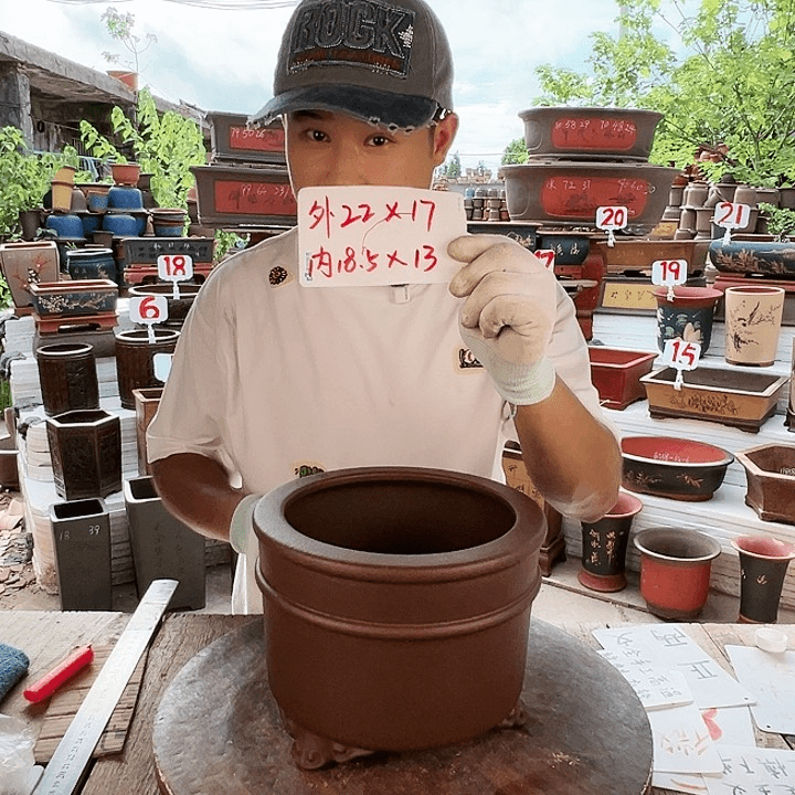 紫砂20CM（含）-50CM（不含）