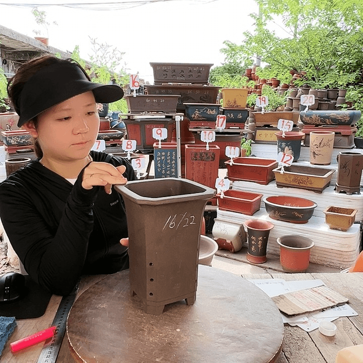 紫砂20CM（含）-50CM（不含）