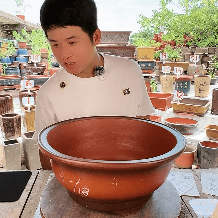 紫砂20CM（含）-50CM（不含）