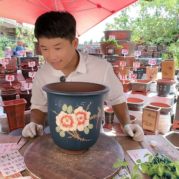 紫砂20CM（含）-50CM（不含）