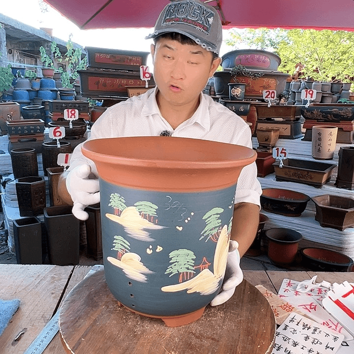 紫砂20CM（含）-50CM（不含）