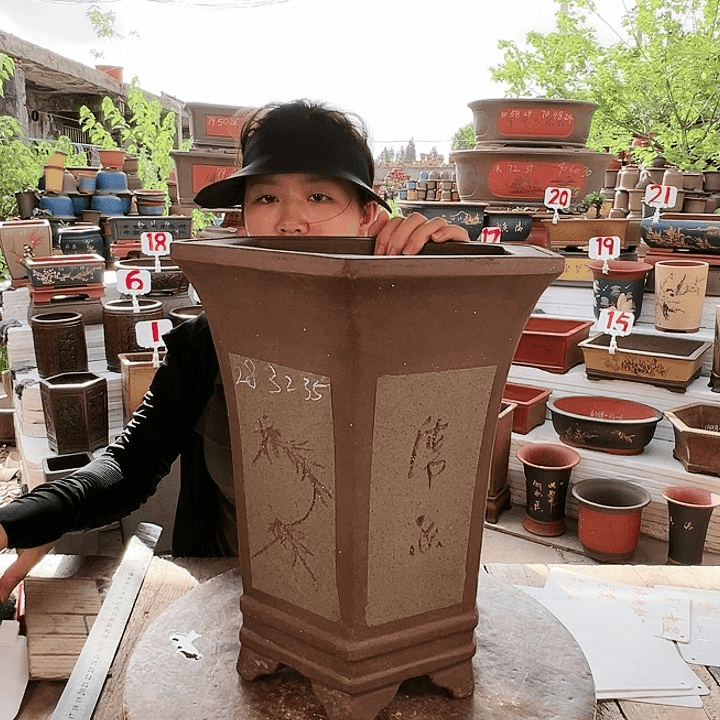 紫砂20CM（含）-50CM（不含）