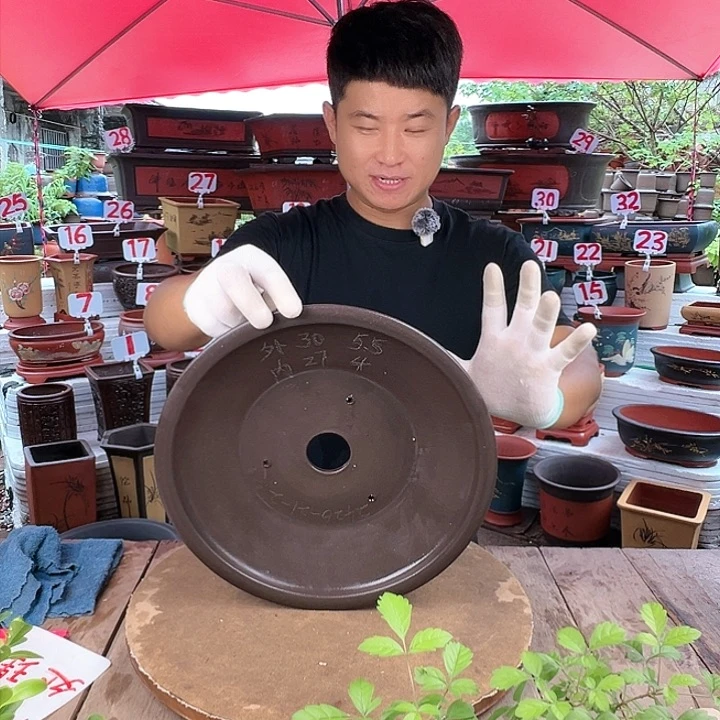 紫砂20CM（含）-50CM（不含）