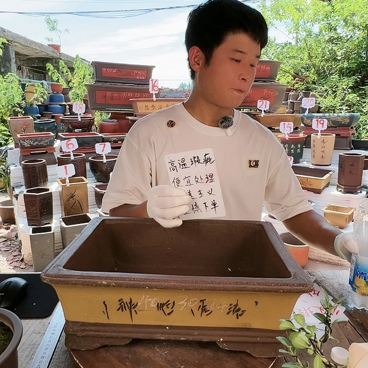 紫砂20CM（含）-50CM（不含）