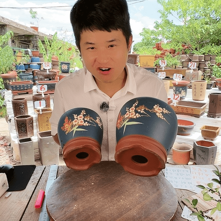紫砂20CM（含）-50CM（不含）