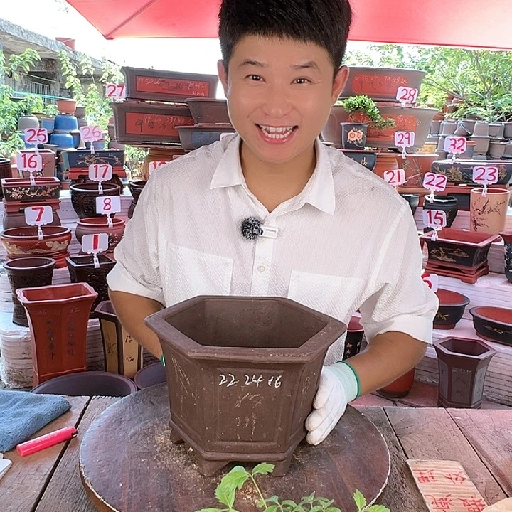 紫砂20CM（含）-50CM（不含）