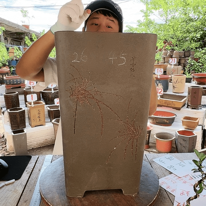 紫砂20CM（含）-50CM（不含）
