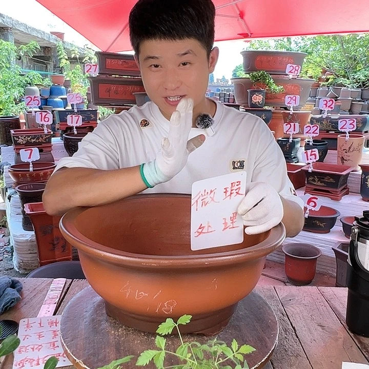 紫砂20CM（含）-50CM（不含）