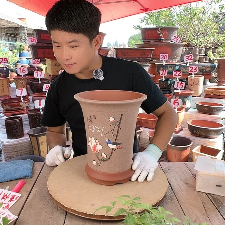 紫砂20CM（含）-50CM（不含）