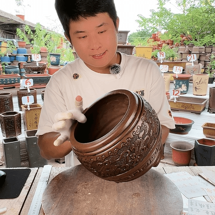 紫砂20CM（含）-50CM（不含）