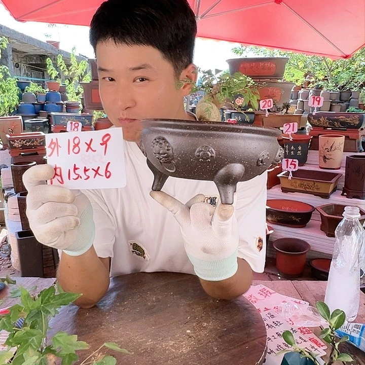紫砂20CM（含）-50CM（不含）