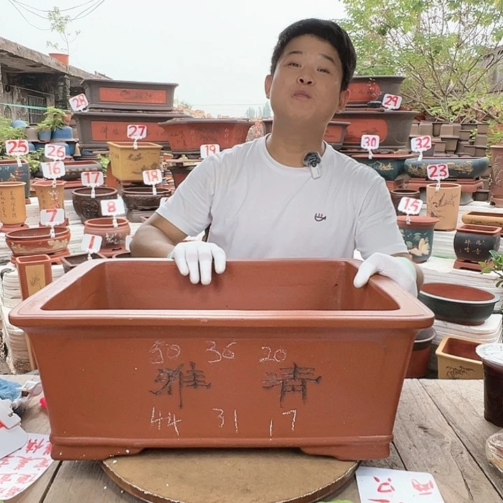 紫砂20CM（含）-50CM（不含）