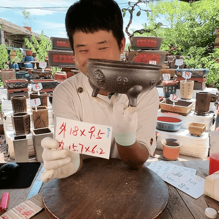 紫砂20CM（含）-50CM（不含）