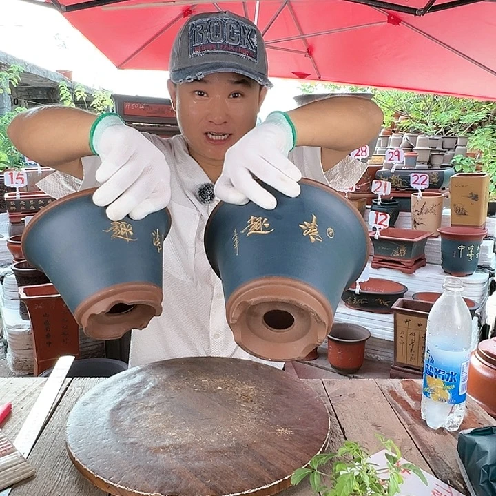 紫砂20CM（含）-50CM（不含）