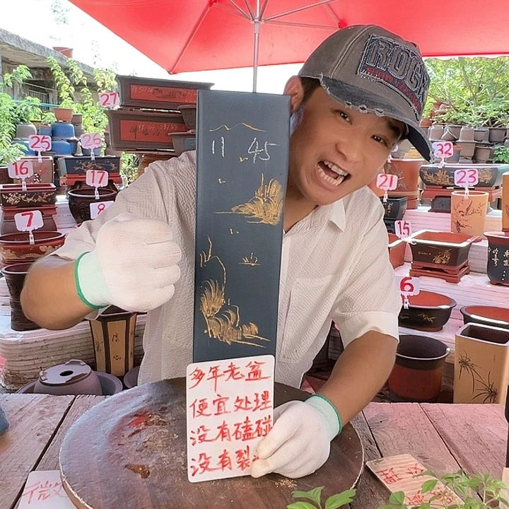 紫砂20CM（含）-50CM（不含）