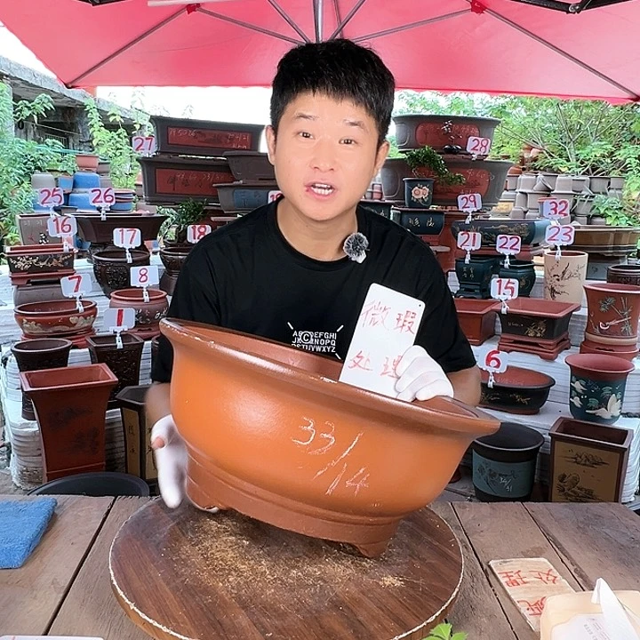紫砂20CM（含）-50CM（不含）