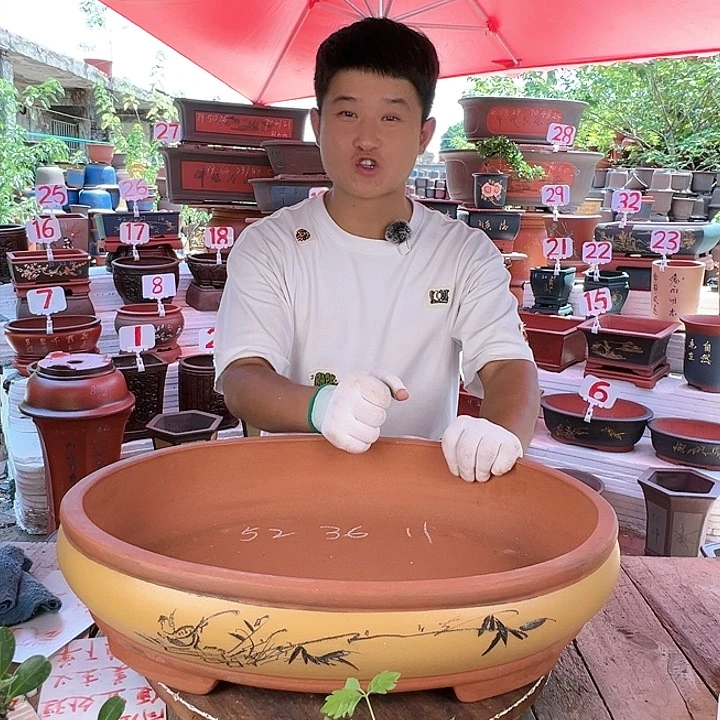 紫砂20CM（含）-50CM（不含）