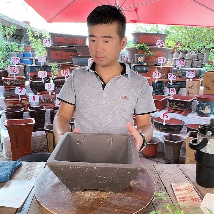 紫砂20CM（含）-50CM（不含）