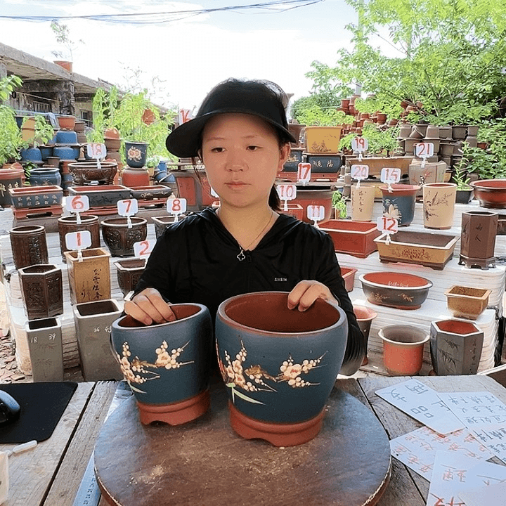 紫砂20CM（含）-50CM（不含）