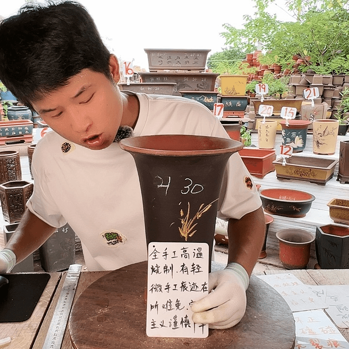 紫砂20CM（含）-50CM（不含）