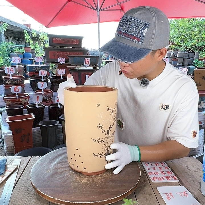 紫砂20CM（含）-50CM（不含）