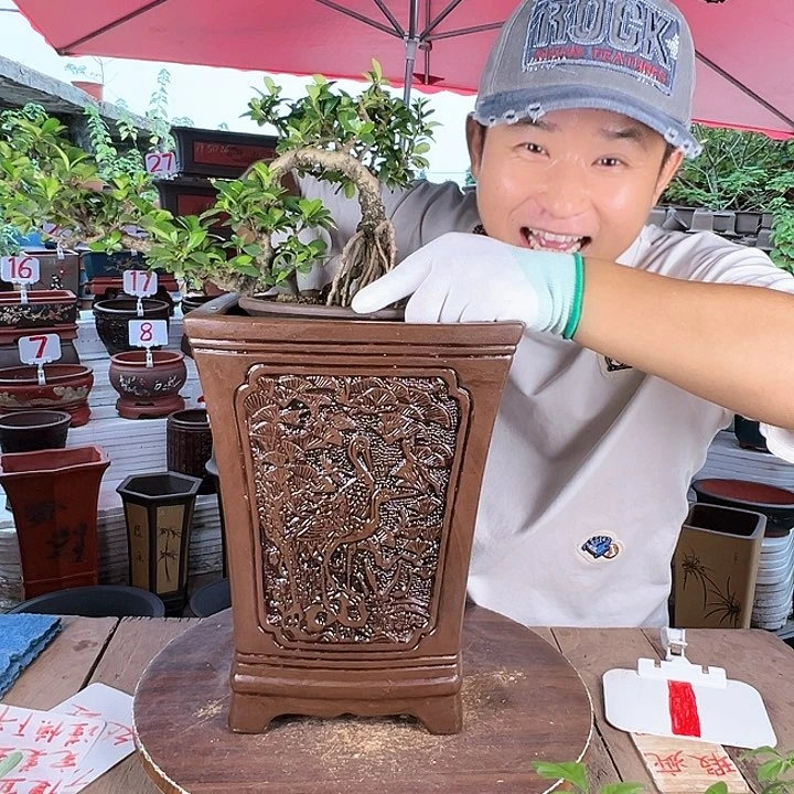 紫砂20CM（含）-50CM（不含）