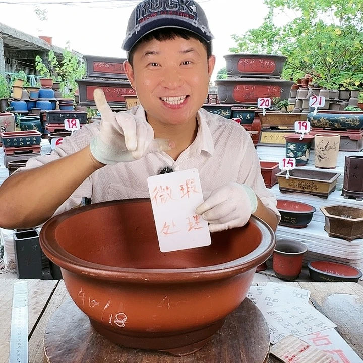 紫砂20CM（含）-50CM（不含）