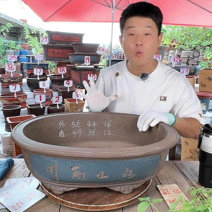 紫砂20CM（含）-50CM（不含）