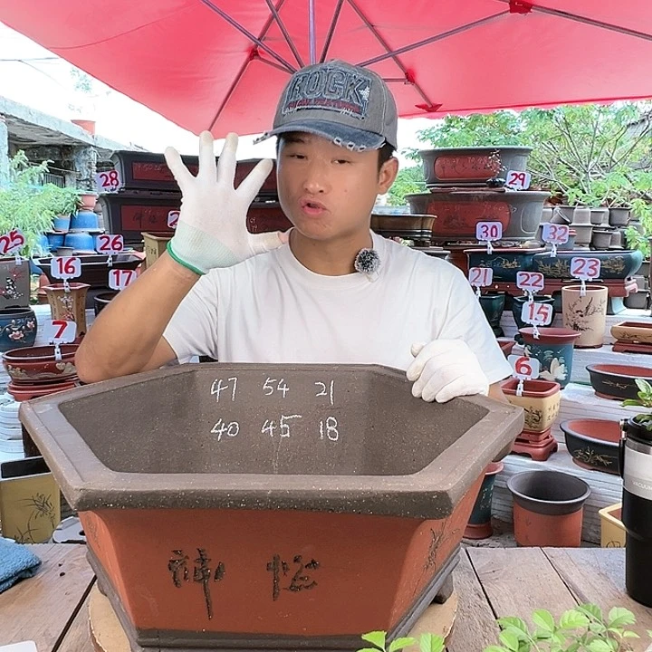 紫砂20CM（含）-50CM（不含）