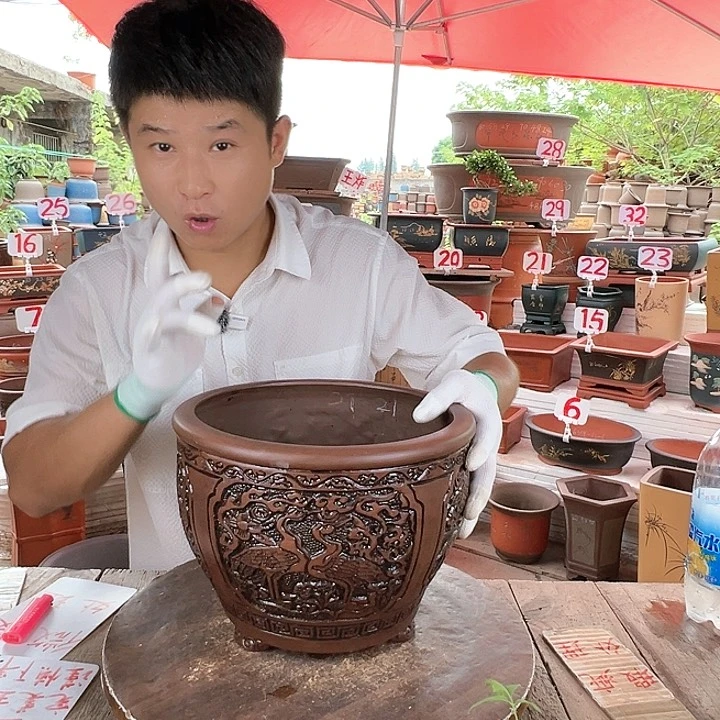 紫砂20CM（含）-50CM（不含）