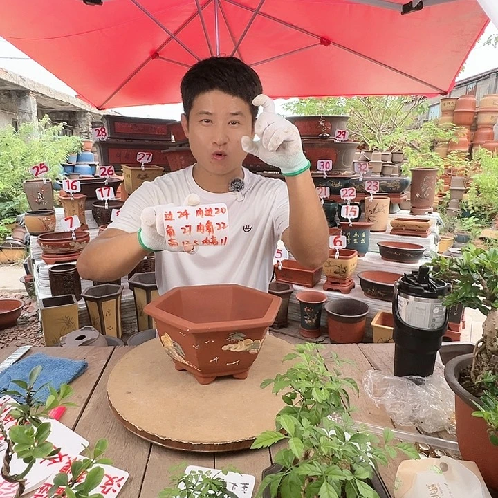 紫砂20CM（含）-50CM（不含）