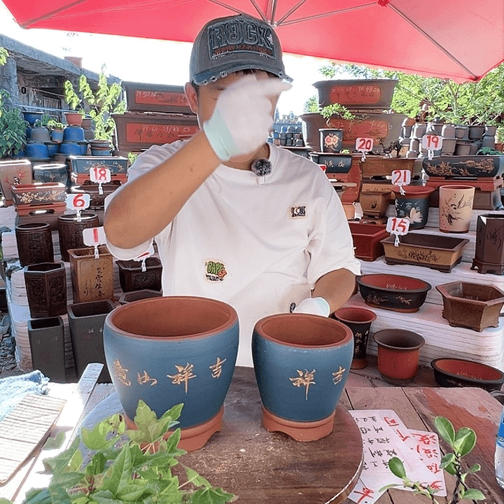 紫砂20CM（含）-50CM（不含）