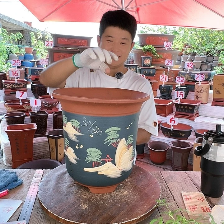 紫砂20CM（含）-50CM（不含）