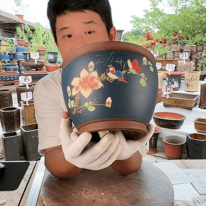 紫砂20CM（含）-50CM（不含）