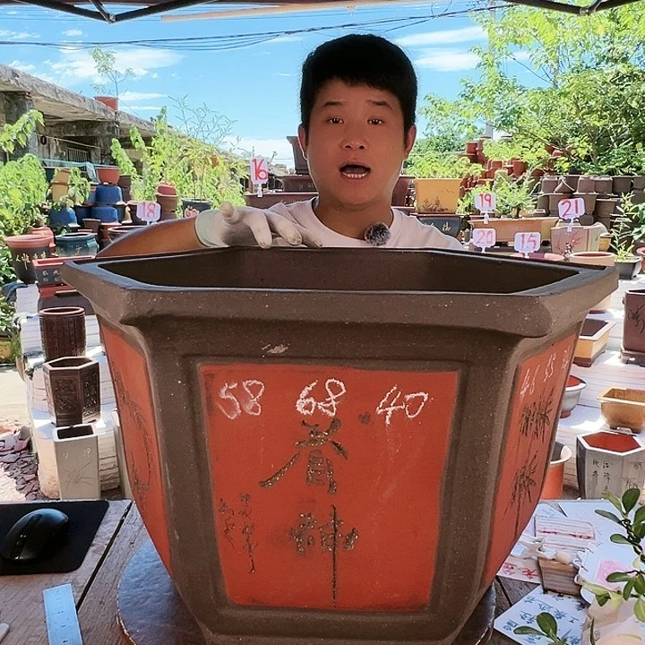 紫砂20CM（含）-50CM（不含）