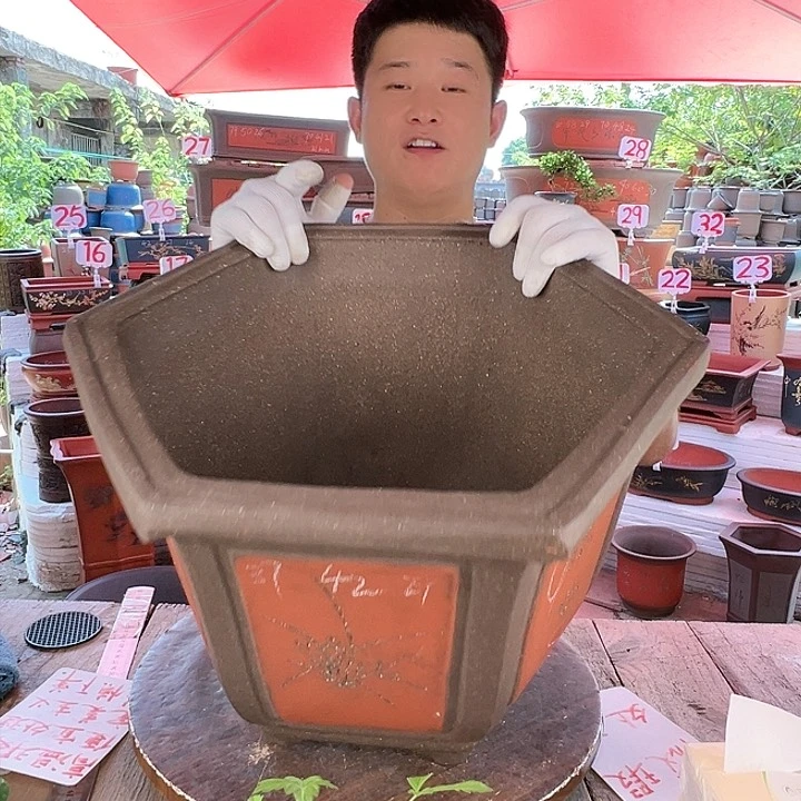 紫砂20CM(含)-50CM(不含)