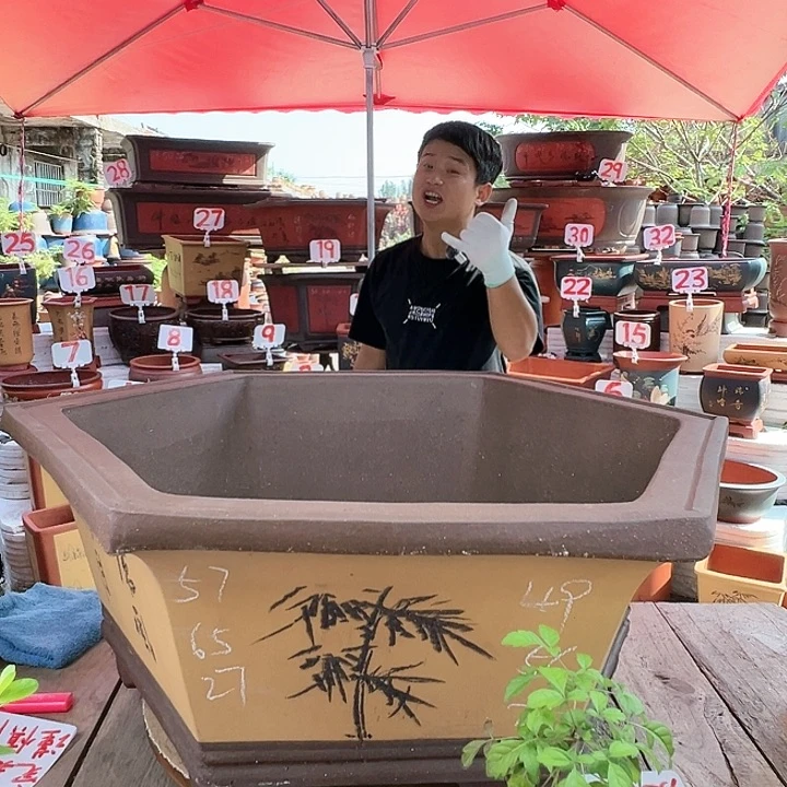 紫砂20CM（含）-50CM（不含）