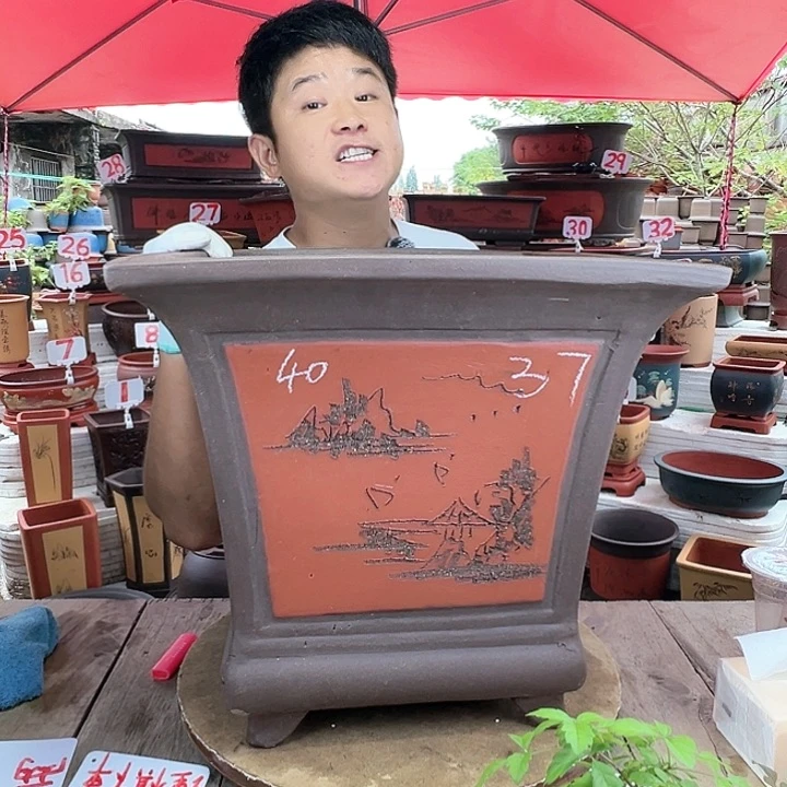 紫砂20CM（含）-50CM（不含）