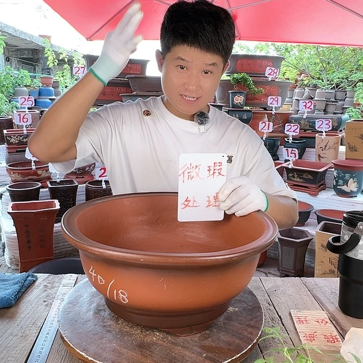 紫砂20CM（含）-50CM（不含）