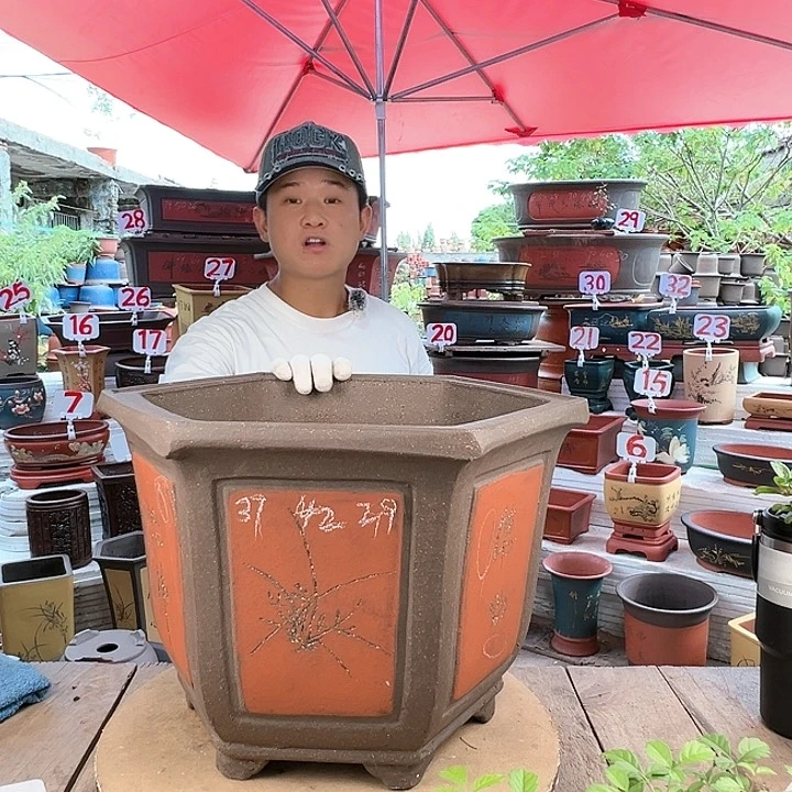 紫砂20CM（含）-50CM（不含）