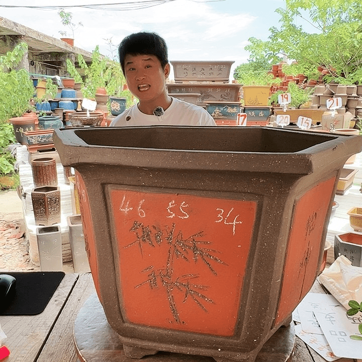 紫砂20CM（含）-50CM（不含）