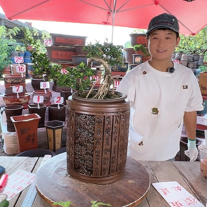 紫砂20CM（含）-50CM（不含）