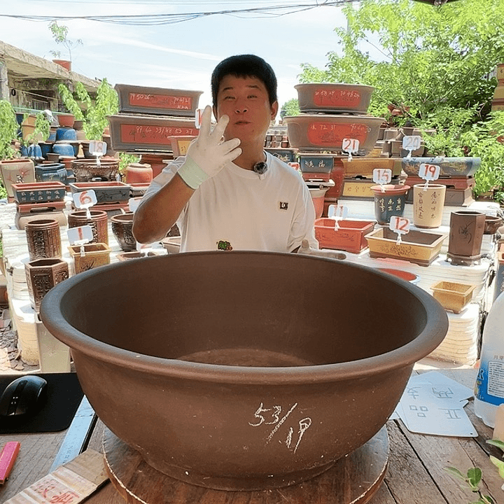 紫砂20CM（含）-50CM（不含）