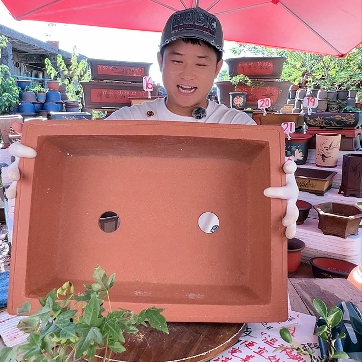 紫砂20CM（含）-50CM（不含）
