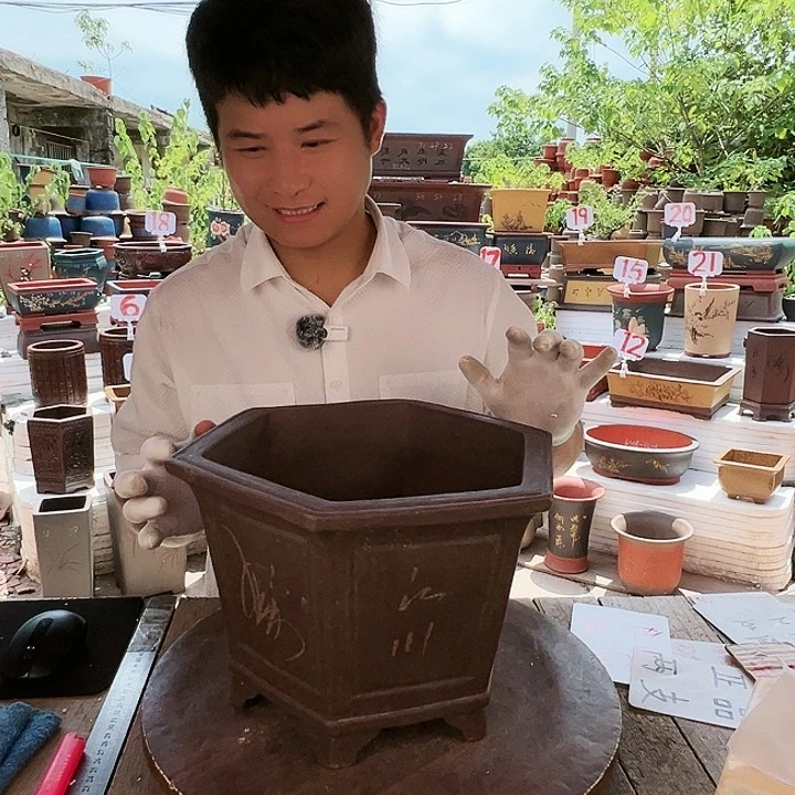 紫砂20CM（含）-50CM（不含）