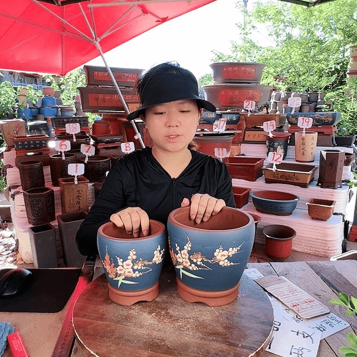 紫砂20CM（含）-50CM（不含）